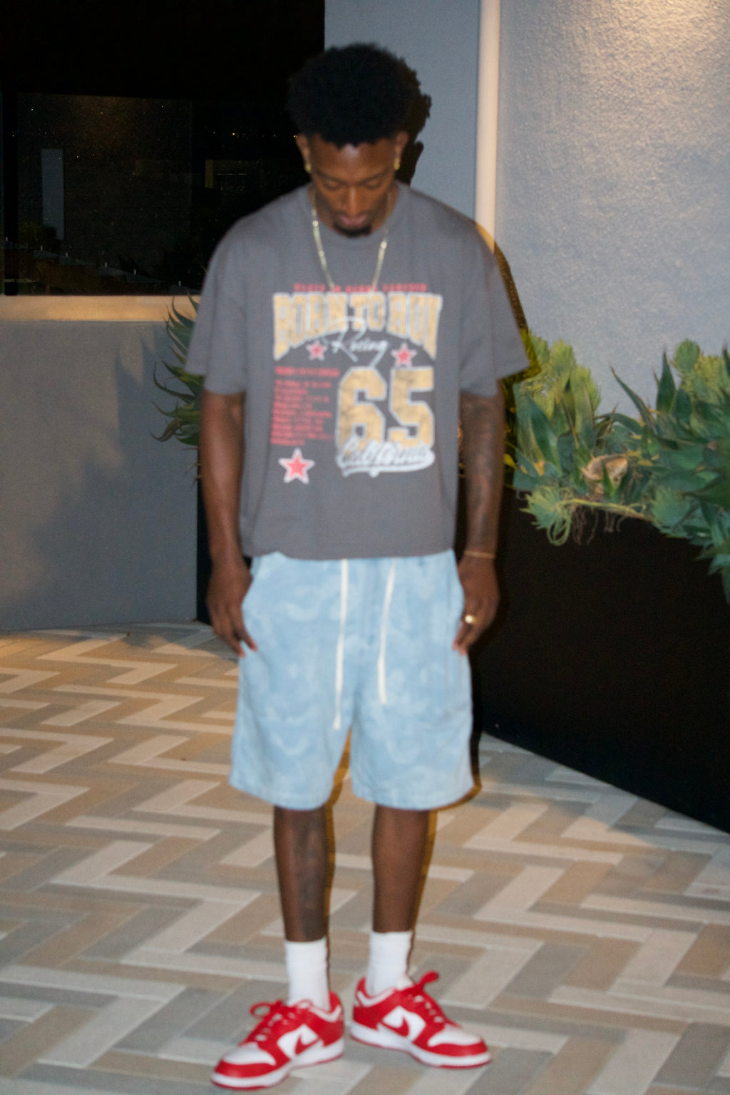 Jacquard Dragon Jean Shorts